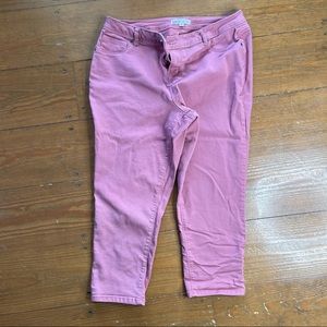 Meri Sky Pink Denim Stretch Pant, Size 16W